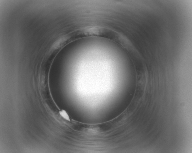 X0000082150548200701262311