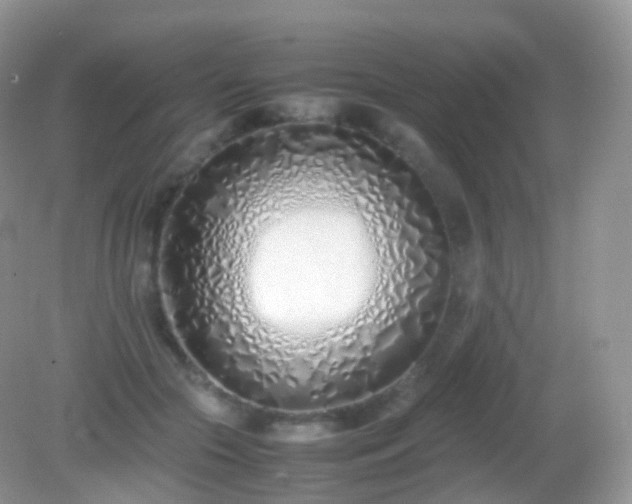 X0000082150553200701262311