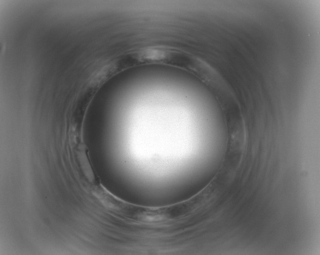 X0000082150555200701262311
