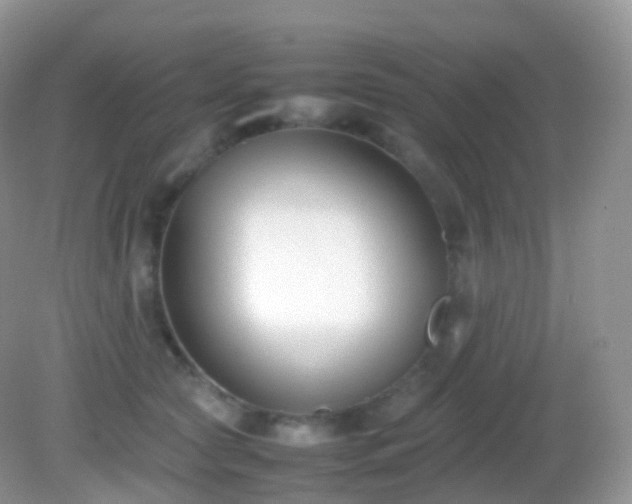 X0000082150561200701262311