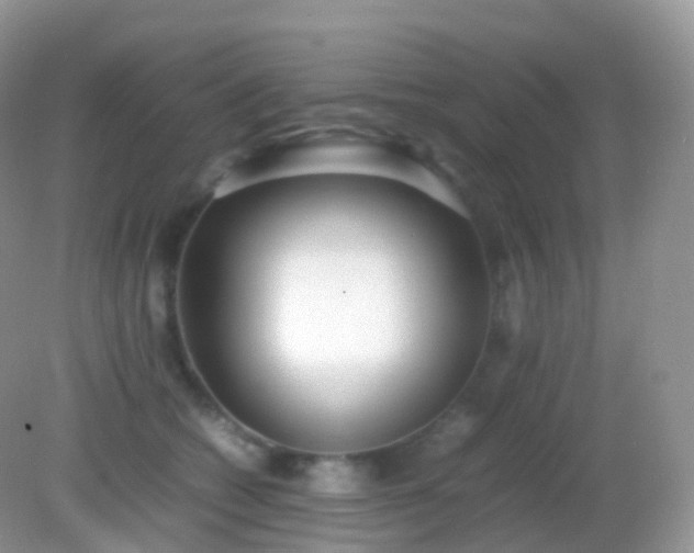 X0000082150562200701262311