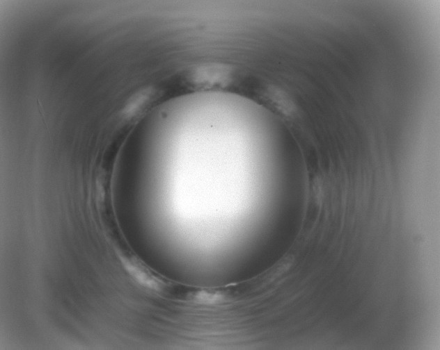 X0000082150570200701262311