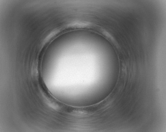 X0000082150582200701262310