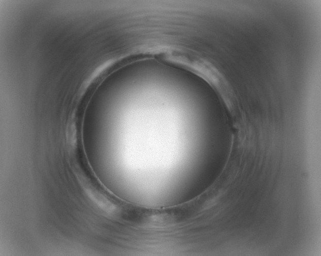 X0000082150584200701262310