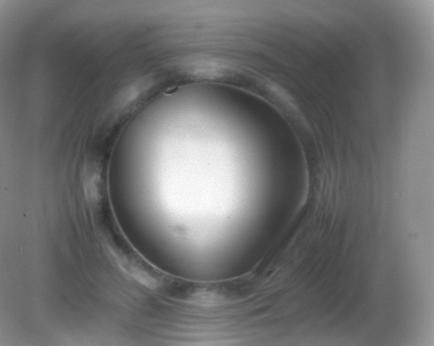 X0000082150596200701262310