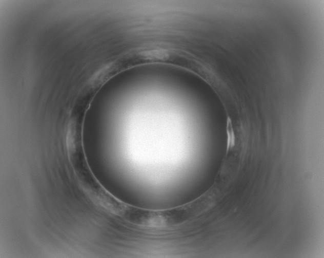 X0000082150600200701262310
