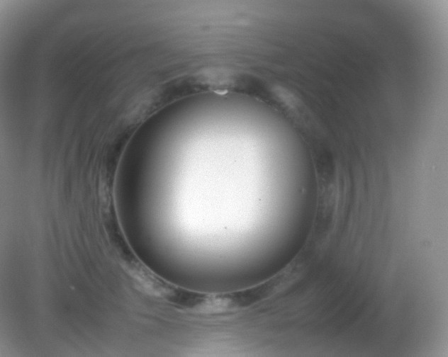 X0000082150609200701262310