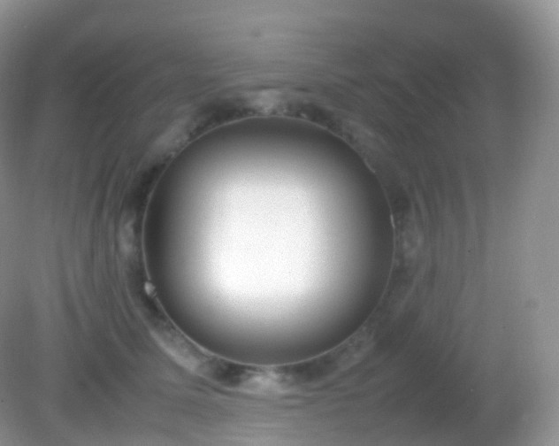 X0000082150611200701262310