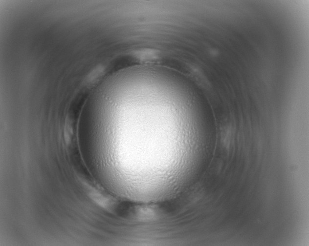 X0000082150618200701262310