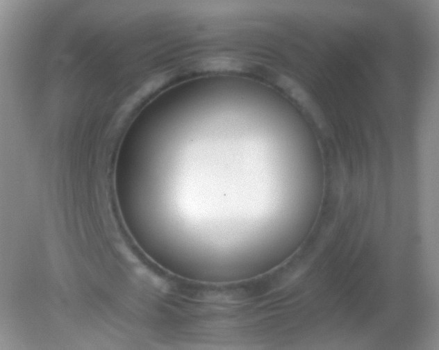 X0000082150625200701262309