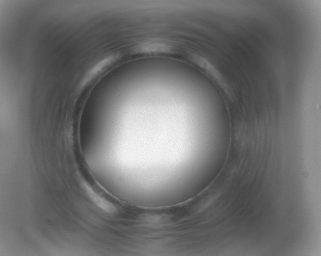 X0000082150629200701262309