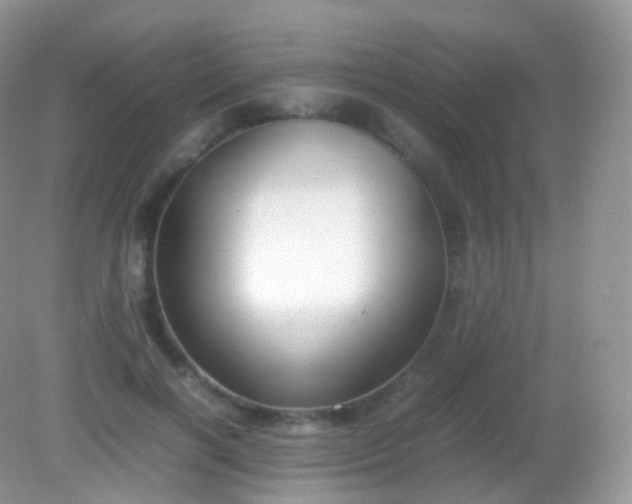 X0000082150646200701262309