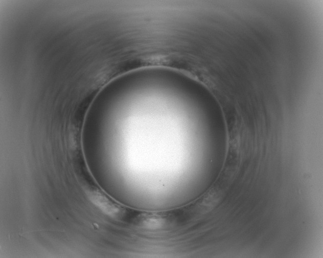 X0000082150658200701262310