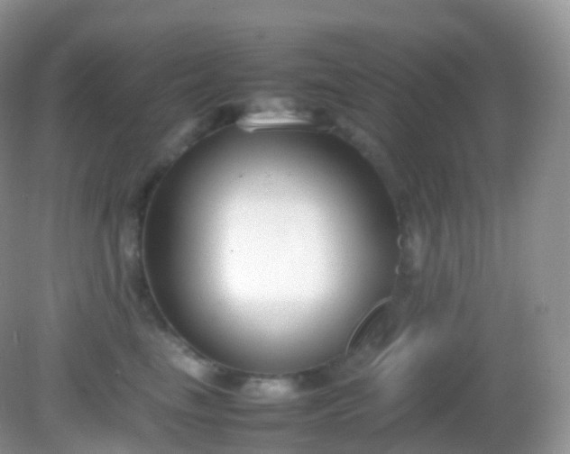 X0000082150665200701262310