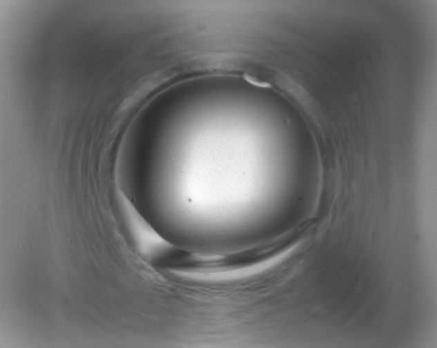 X0000082150673200701262309