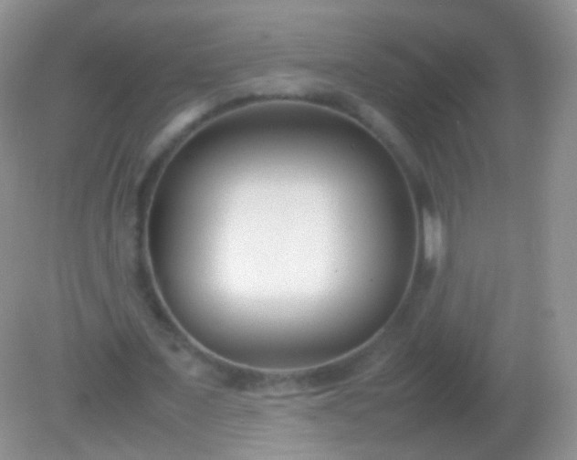 X0000082150675200701262309