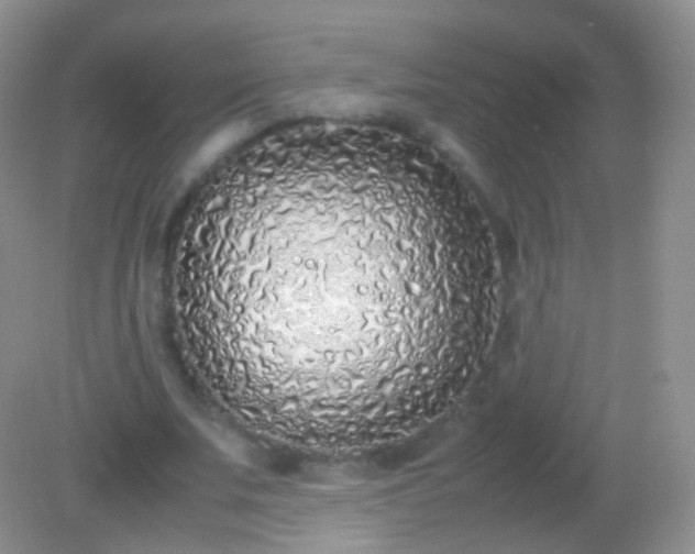 X0000082150679200701262309