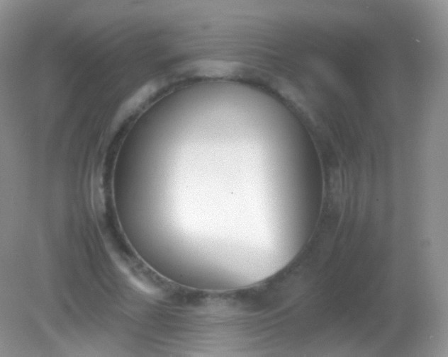 X0000082150682200701262309