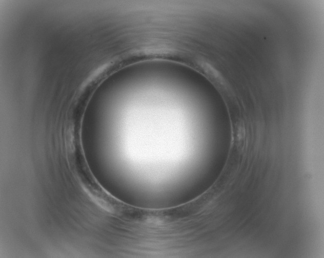 X0000082150684200701262309