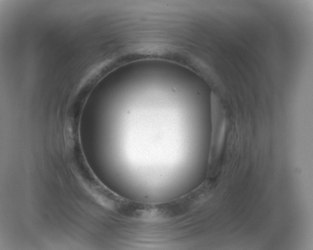 X0000082150688200701262309