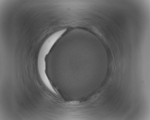 X0000082150689200701262309