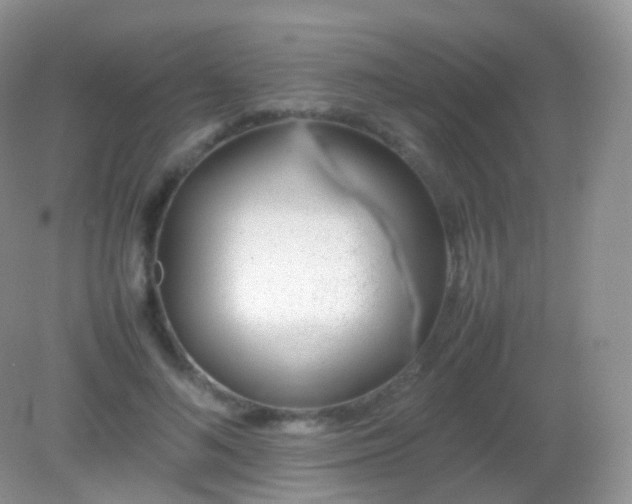 X0000082150692200701262309