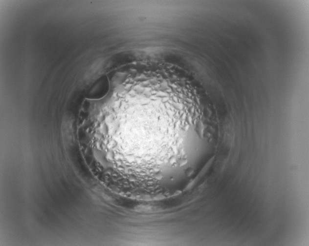 X0000082150699200701262309