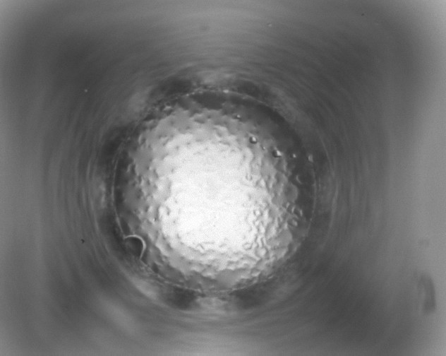 X0000082150703200701262308