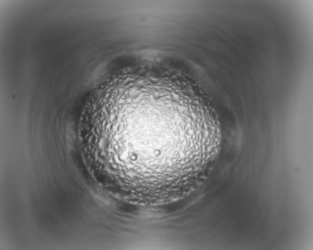 X0000082150707200701262308