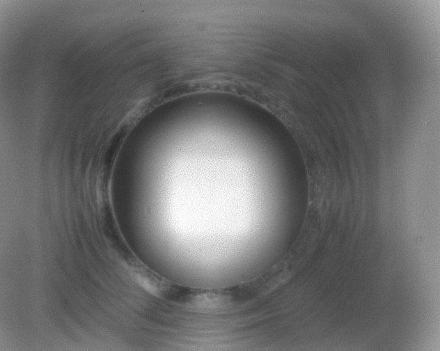 X0000082150708200701262308
