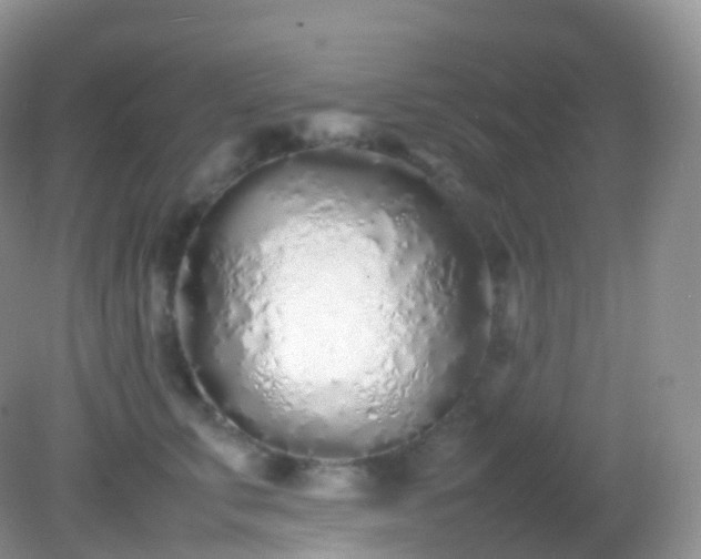 X0000082150711200701262308