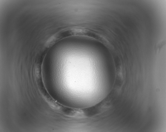 X0000082150715200701262308