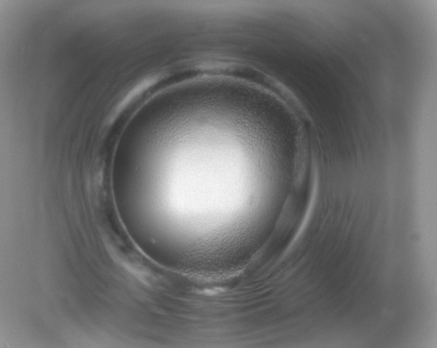 X0000082150723200701262307