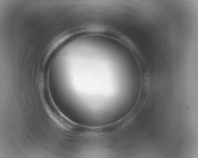 X0000082150726200701262307