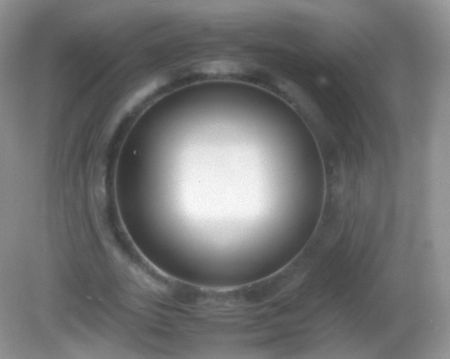 X0000082150727200701262307