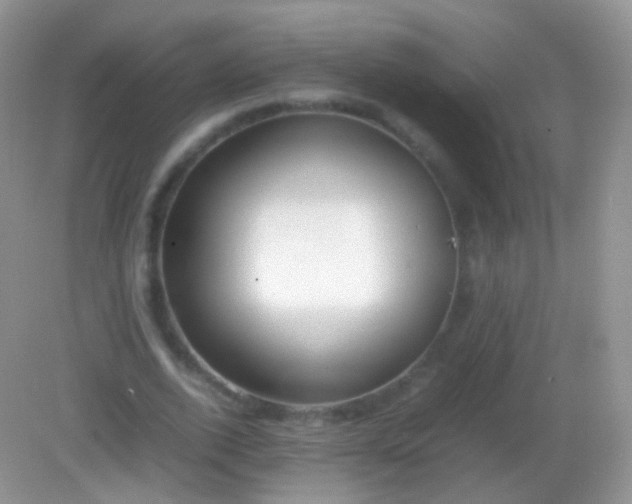 X0000082150728200701262307