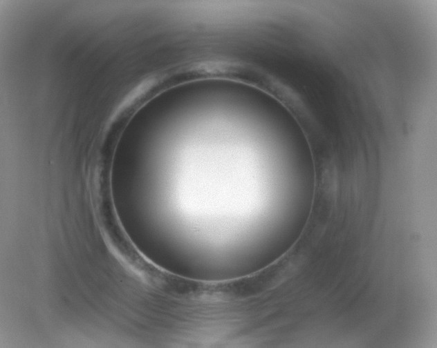X0000082150730200701262308