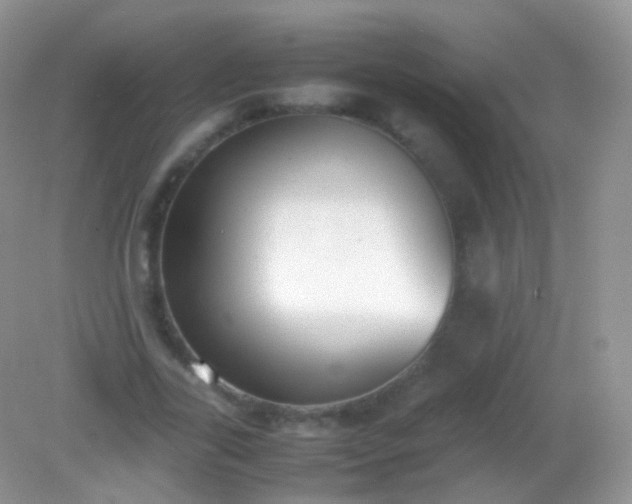 X0000082150731200701262308
