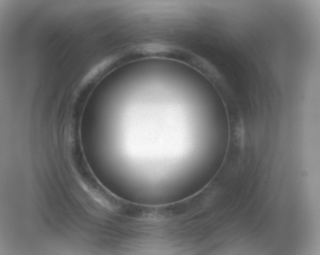 X0000082150732200701262308