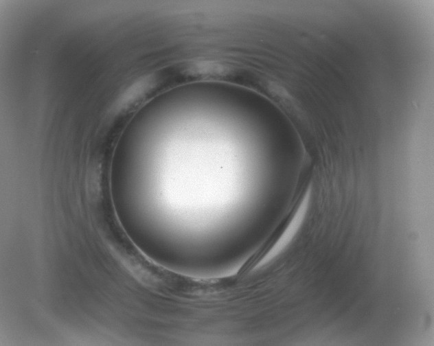 X0000082150735200701262308
