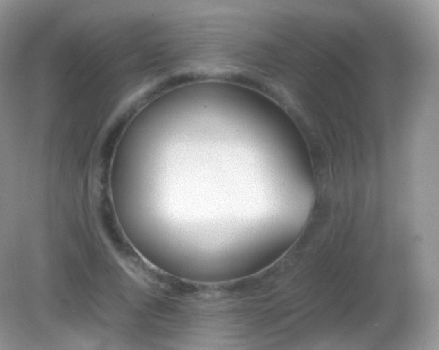 X0000082150736200701262308