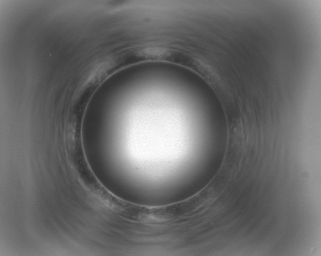 X0000082150739200701262308