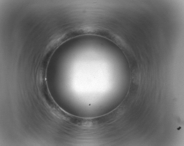 X0000082150740200701262308