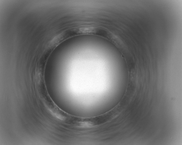 X0000082150741200701262308