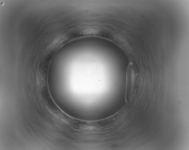 X0000082150743200701262308