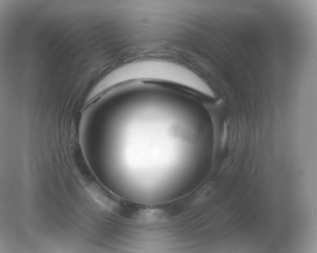 X0000082150748200701262308