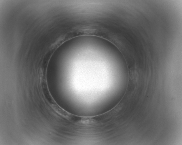 X0000082150752200701262308