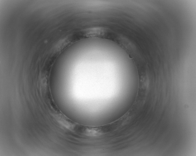 X0000082150753200701262308