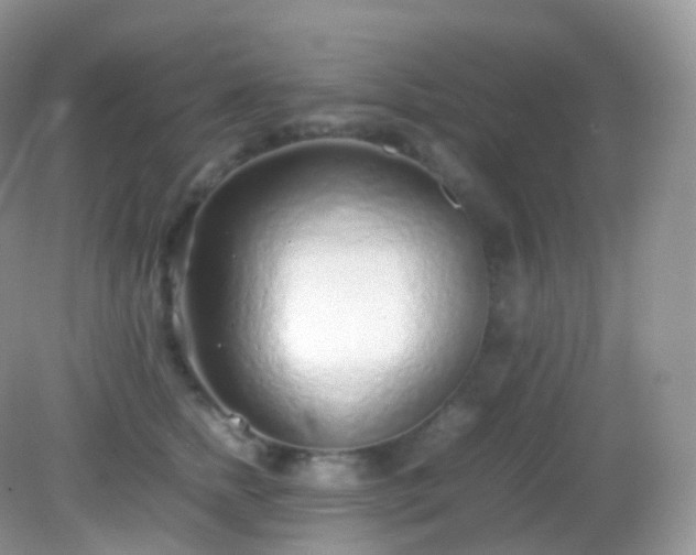 X0000082150758200701262308