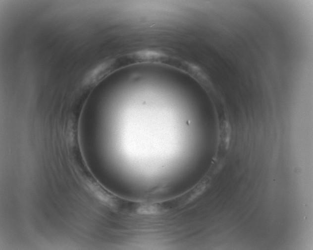 X0000082150762200701262308